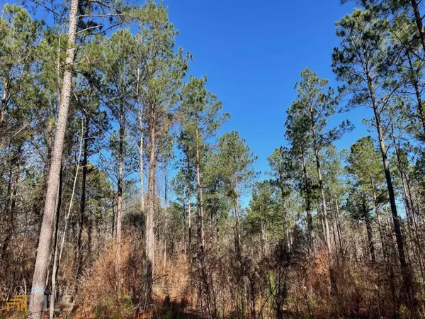 Greensboro, GA 30642,23.49 ACRES Athens