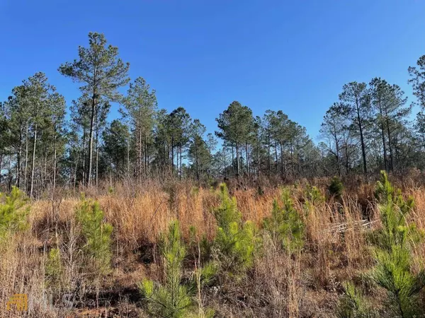 23.49 ACRES Athens, Greensboro, GA 30642