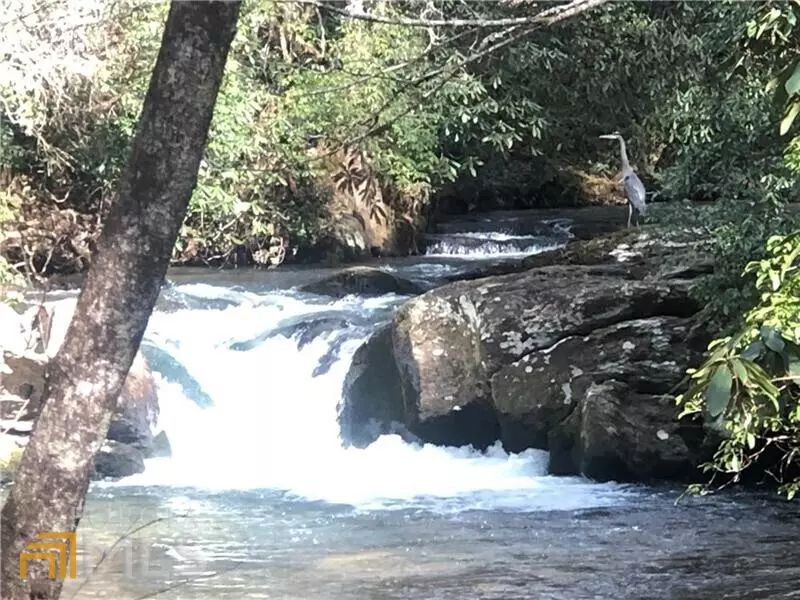 Cleveland, GA 30528,0 Gold Flume