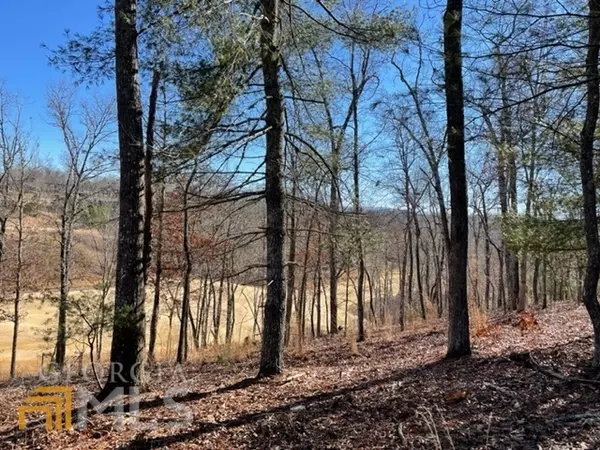 Mineral Bluff, GA 30559,LOT 161 Old Toccoa Farm