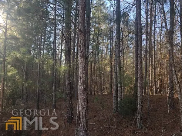 Monticello, GA 31064,0 Lot #31 Van Morrison