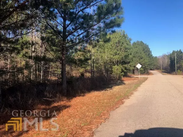 Monticello, GA 31064,0 Lot #32 Van Morrison