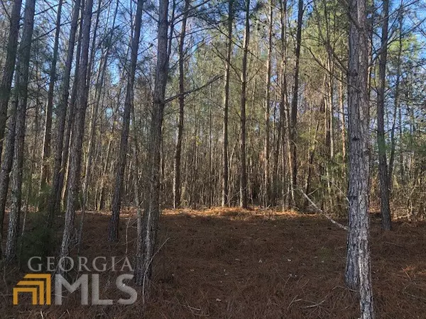 Monticello, GA 31064,0 Lot #32 Van Morrison