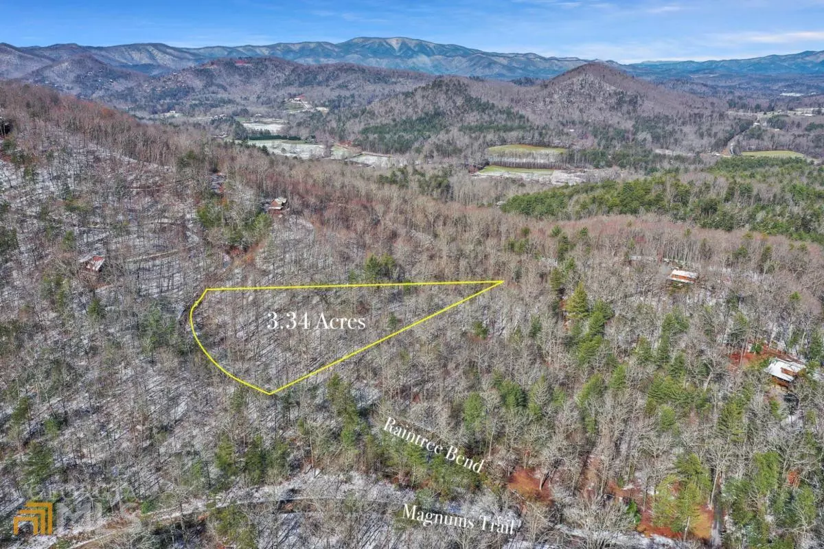 Blue Ridge, GA 30513,0 Lot 3 Raintree