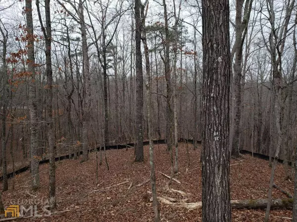 Dahlonega, GA 30533,LOT 16 Flat Rock