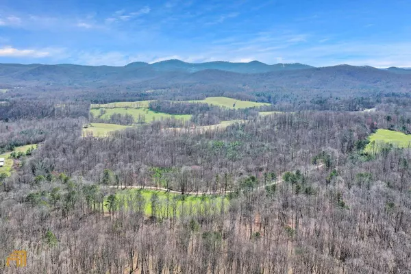 Ellijay, GA 30536,0 Holt RD