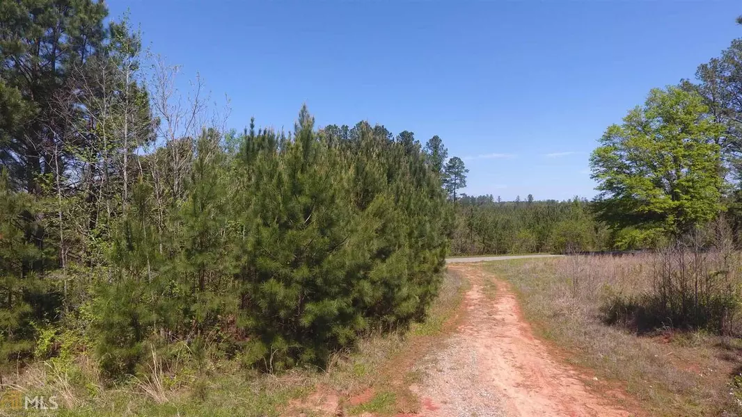 0 Fullerton Phillips, Hillsboro, GA 31038