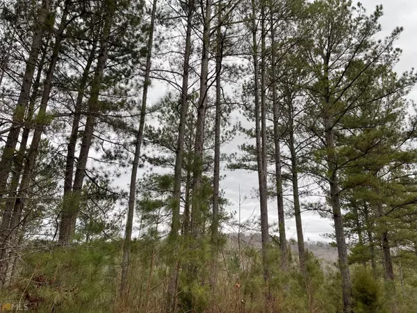 Blairsville, GA 30512,LOT 43 Inwood