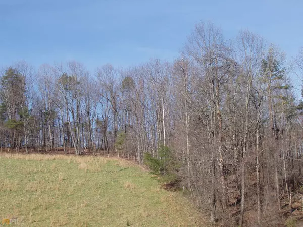 Lula, GA 30554,0 Barefoot RD