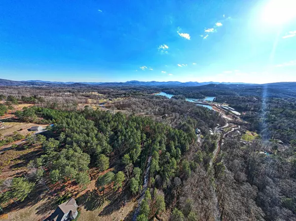 Blairsville, GA 30512,LOT 45 Inwood Lane