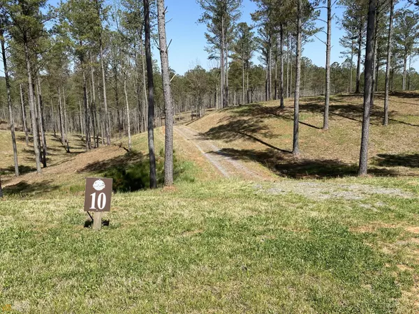 Ellijay, GA 30540,LOT 10 High River