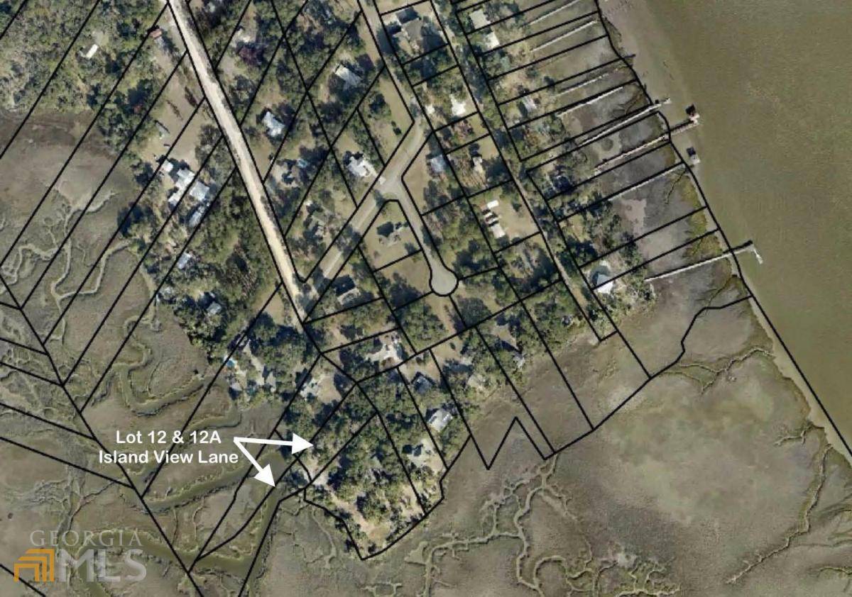 Waverly, GA 31565,LOT 12 Island VW #LOT 12 & 12A