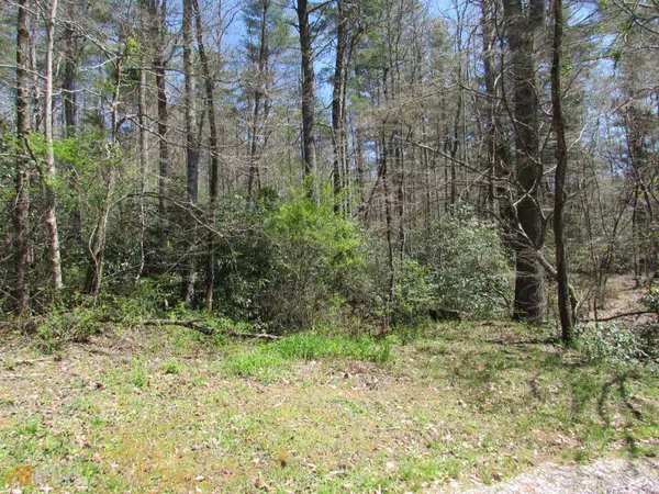 Morganton, GA 30560,1 Tall Pines