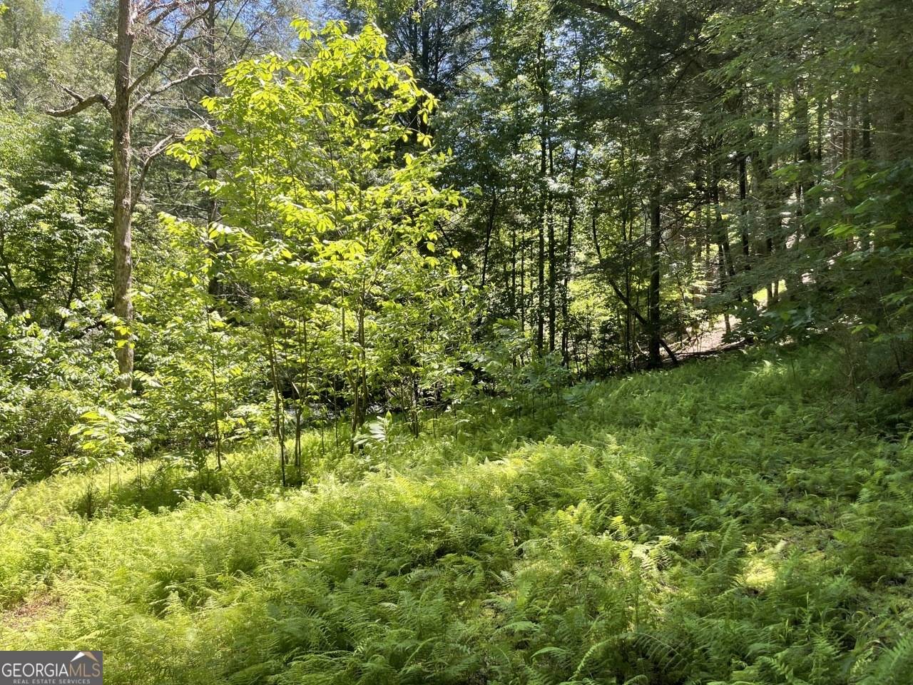 Ellijay, GA 30540,0 Sapulpa CT