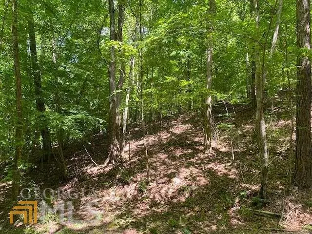 0 Pasha Drive .65 Ac, Ellijay, GA 30540