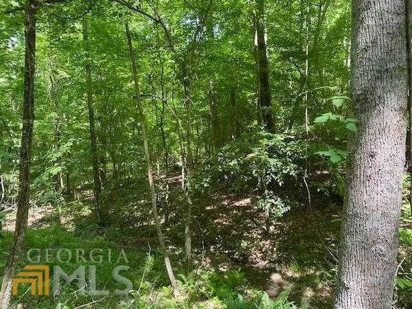 Ellijay, GA 30540,0 Pasha Drive .65 Ac