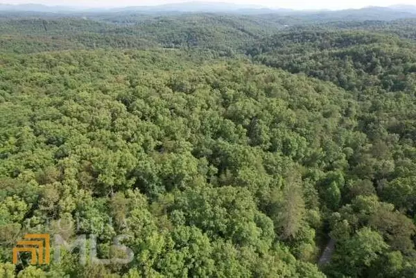 Mineral Bluff, GA 30559,0 Old Mill RD #LOT 64