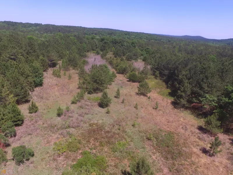 0 Skelton RD #LOT 8, Thomaston, GA 30286