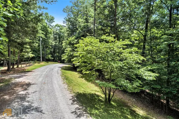 Ellijay, GA 30540,LOT 1422 Malory