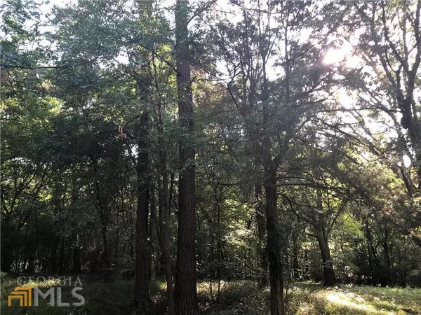Greensboro, GA 30642,1141 Armour CIR