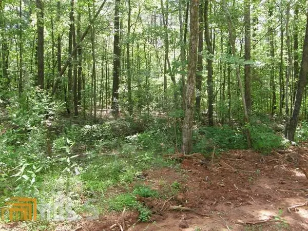 Pine Mountain, GA 31822,0 Lake