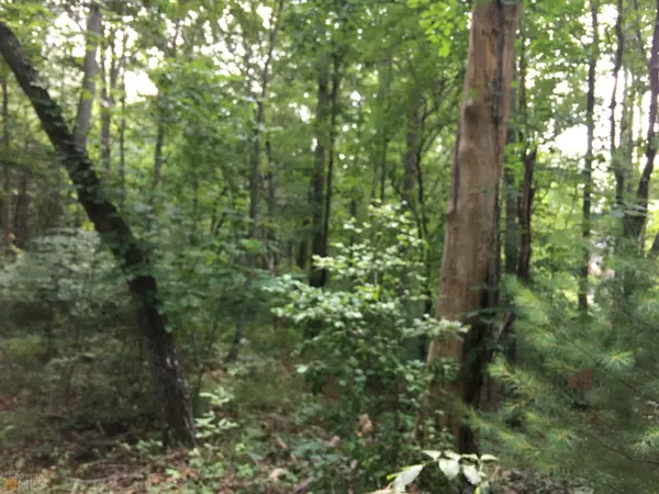 Blairsville, GA 30512,LOT 123 Fox Fields