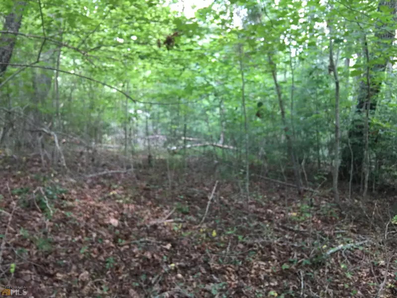 LOT 123 Fox Fields, Blairsville, GA 30512