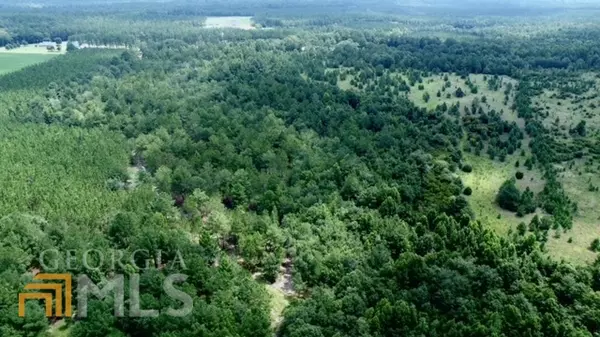 Lyons, GA 30436,791 Buck Corbin RD