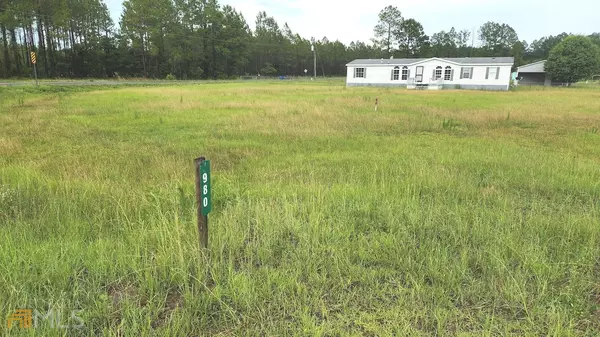 Folkston, GA 31537,980 Spring Lake