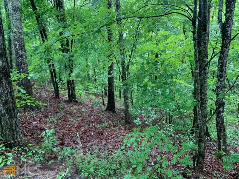 LOT34 Bear Den, Blue Ridge, GA 30513