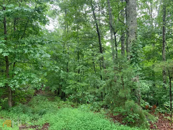 Blue Ridge, GA 30513,LOT34 Bear Den