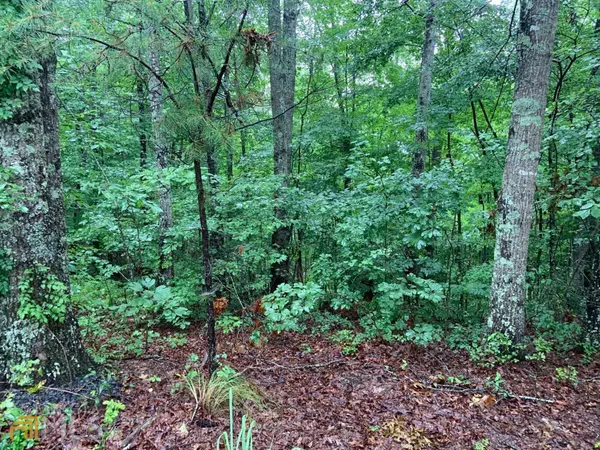 Blue Ridge, GA 30513,LOT34 Bear Den