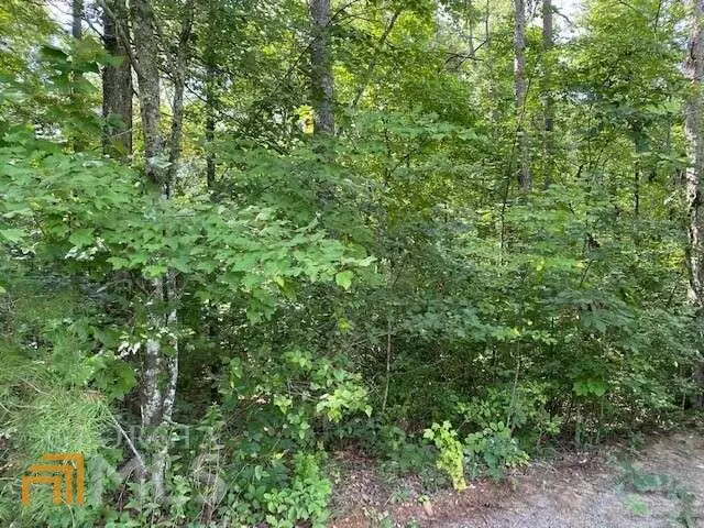 Mineral Bluff, GA 30559,LT 21 Whippoorwill