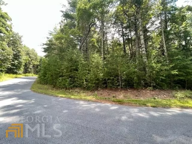 LT 10 Fox Lake Subdivision, Blairsville, GA 30512