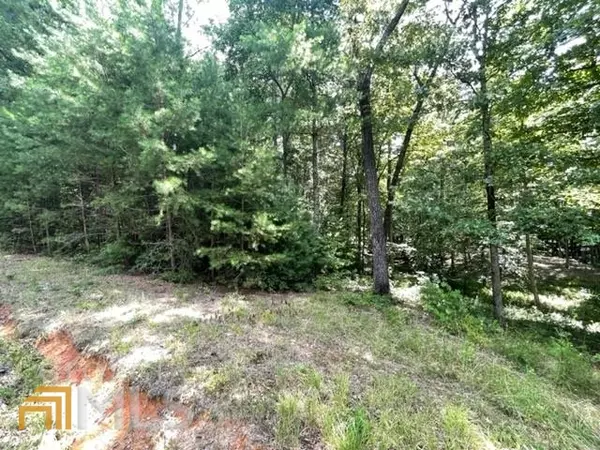 Blairsville, GA 30512,LT 10 Fox Lake Subdivision