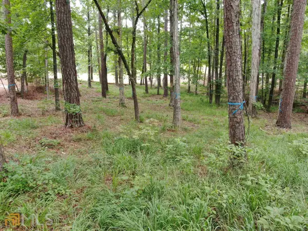 Greensboro, GA 30642,1011 Crackers Neck RD