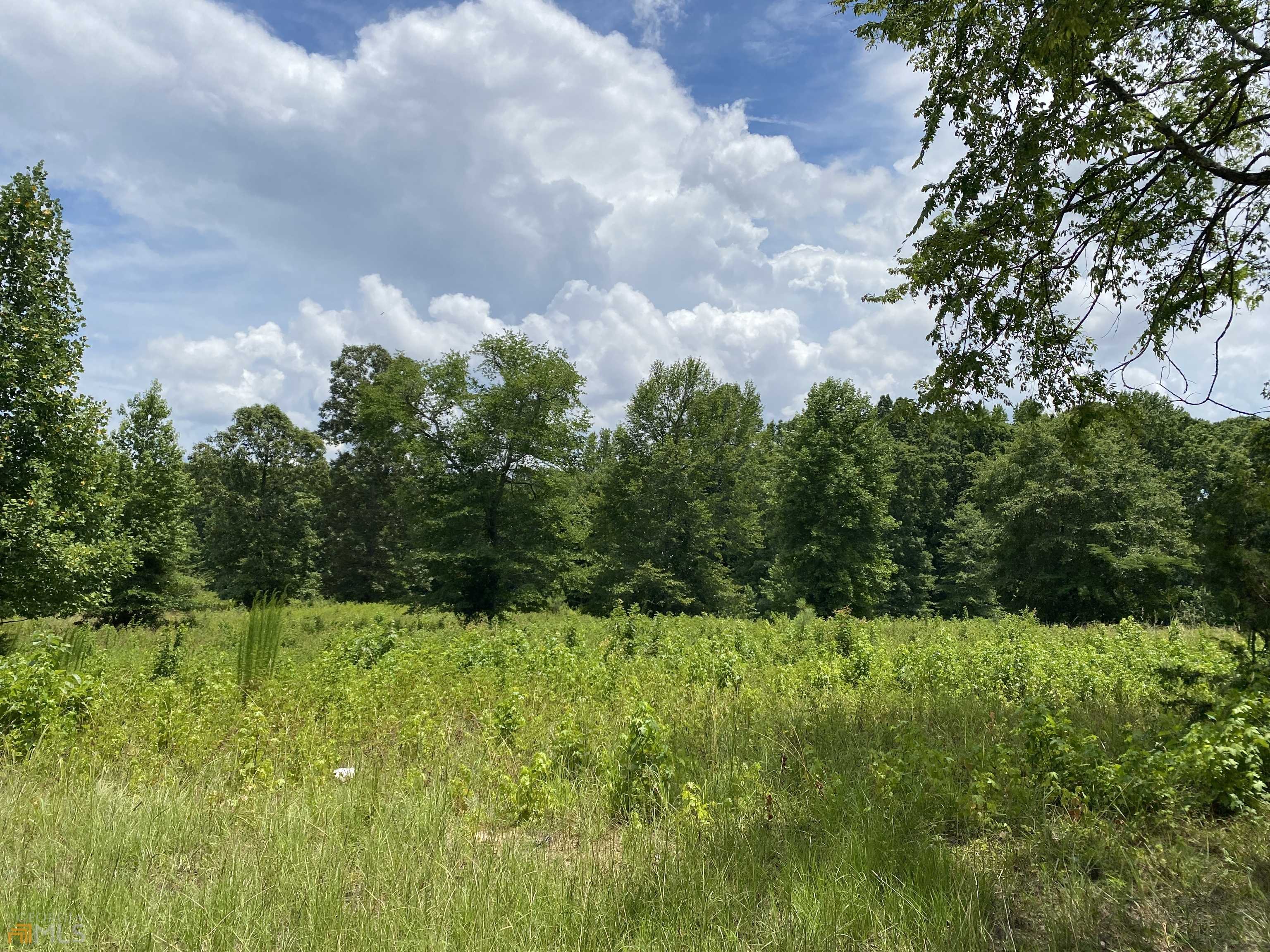 Locust Grove, GA 30248,358 Seabolt RD #2