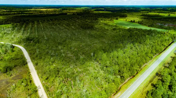 Surrency, GA 31563,0 Blackshear HWY