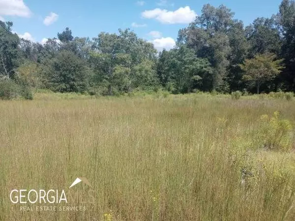 Davisboro, GA 31018,141 Meadows