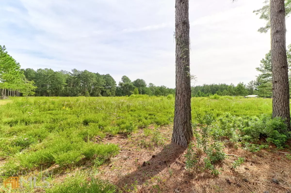 Brooklet, GA 30415,0 Buie Driggers