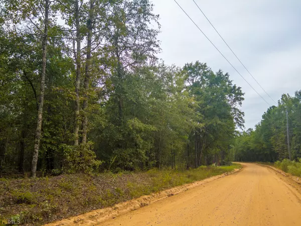 602 Pitts Chapel RD, Macon, GA 31217