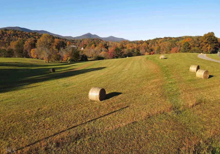 TRACT 11C Owltown RD, Blairsville, GA 30512