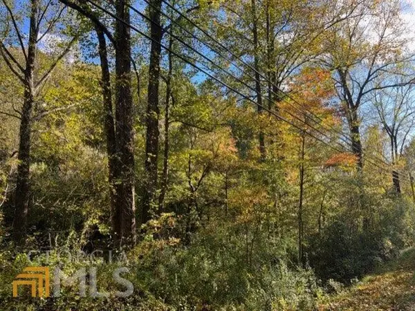 Ellijay, GA 30540,2+AC N Old Hwy 5