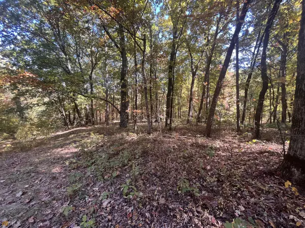 LOT 20 Wauka Mountain, Clermont, GA 30527