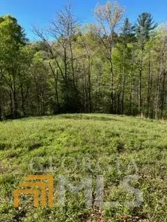 Ellijay, GA 30540,0 Pocola