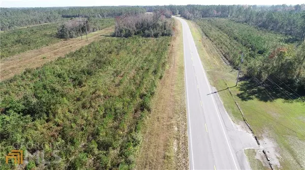 Hortense, GA 31543,134.18 ACRES Hwy 32