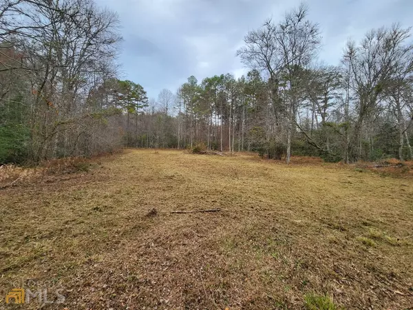 Mineral Bluff, GA 30559,10 AC Hardscrabble RD