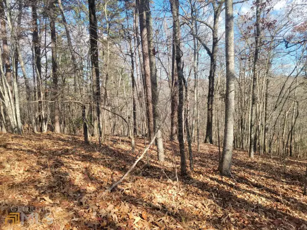 Mineral Bluff, GA 30559,LT 32 Wolf Creek