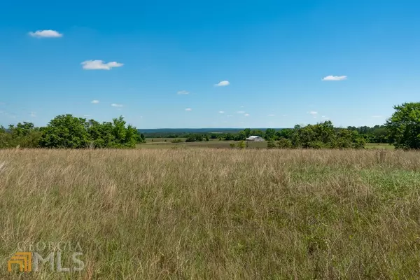 Mauk, GA 31058,0 Hayes RD