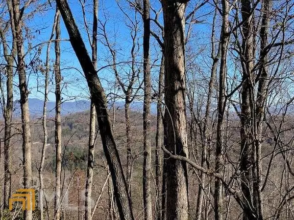 Blue Ridge, GA 30513,LT 4 Sunrock Mountain